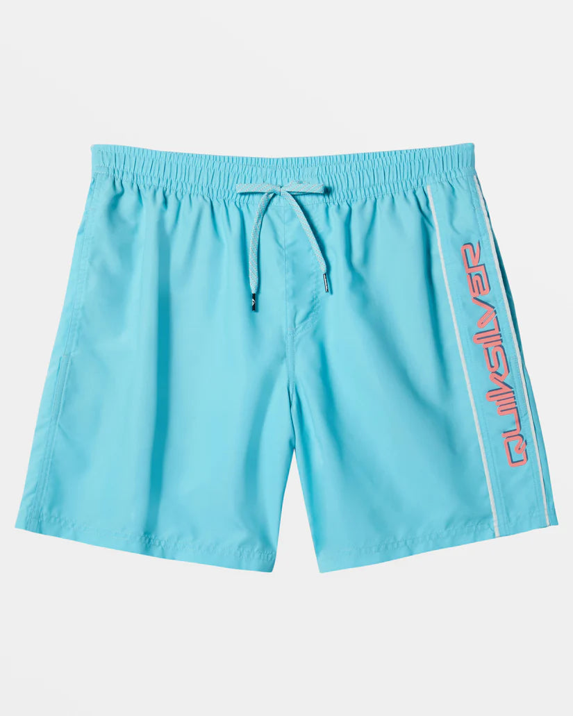 QuikSilver Men's Vert Volley 2 17NB Boardshorts