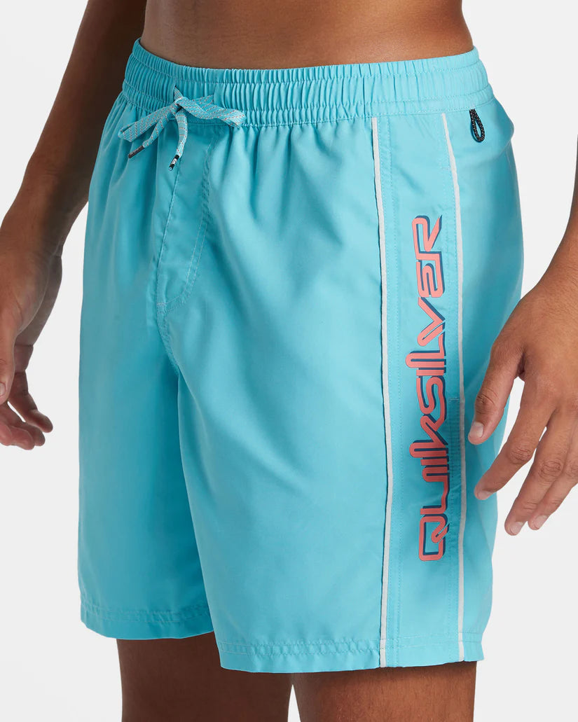 QuikSilver Men's Vert Volley 2 17NB Boardshorts