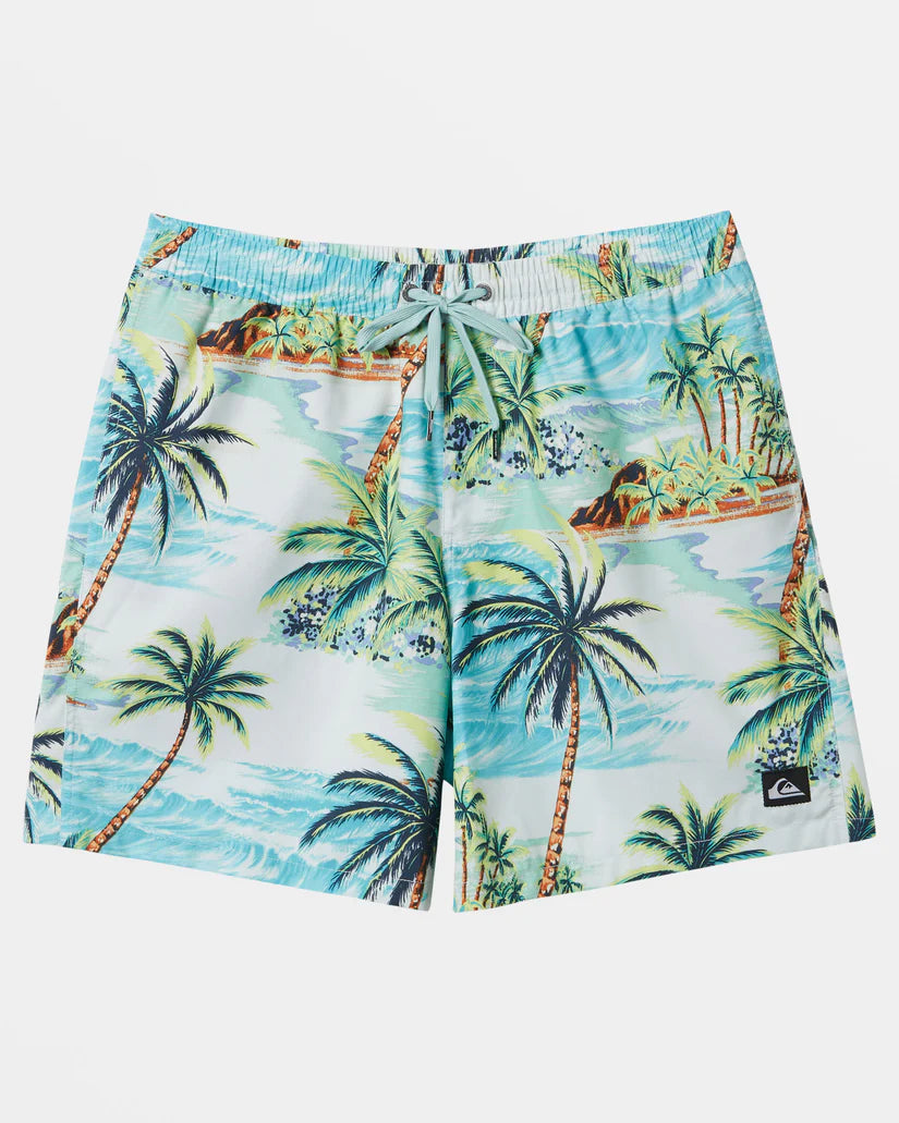 QuikSilver Men's Everyday Mix Volley 17NB Boardshorts