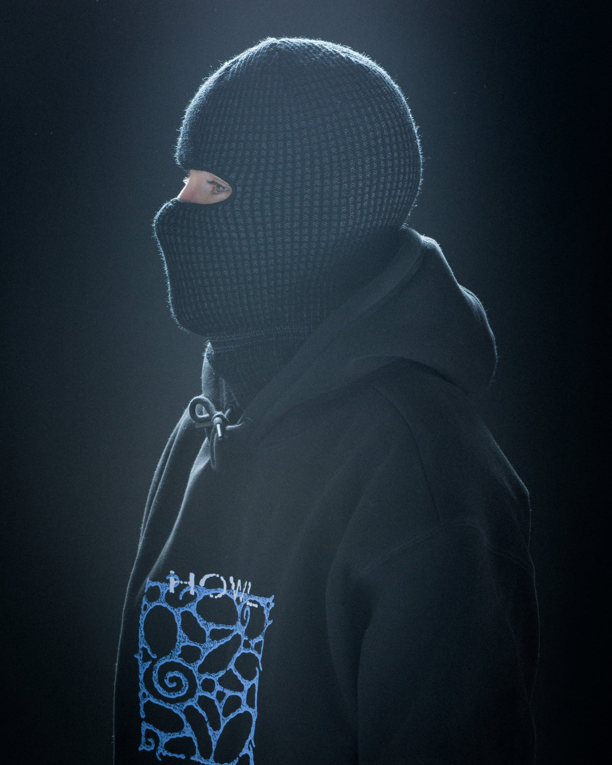 Howl Burglar Face Mask