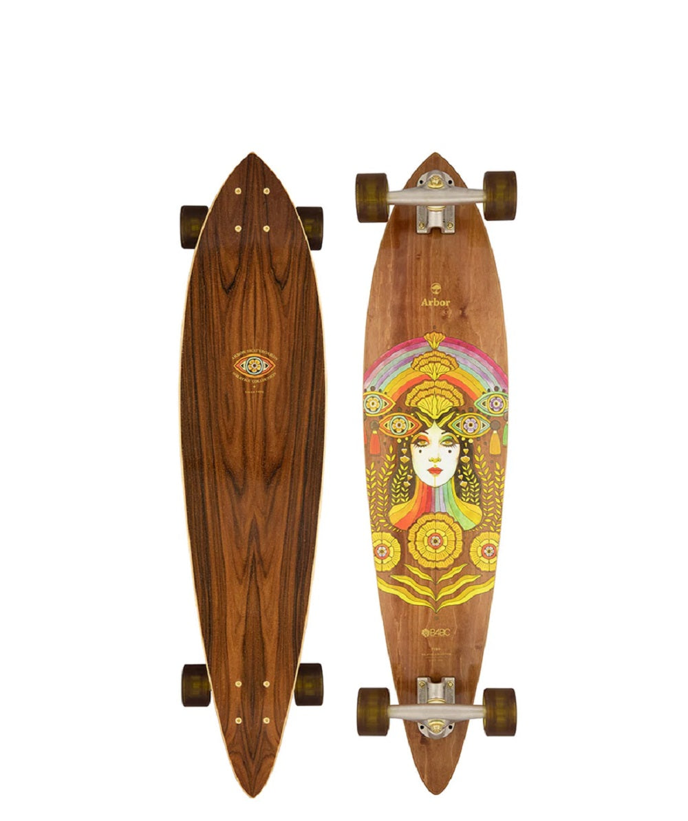 Arbor Fish Solstice Complete Longboard 2022