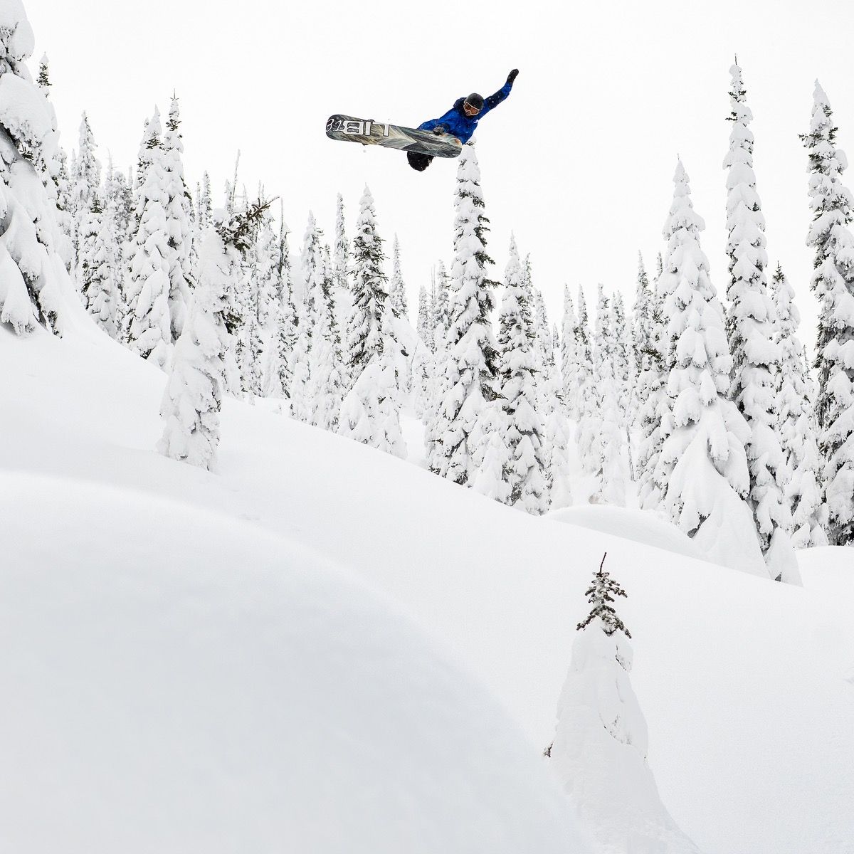 Lib Tech Men's Dynamo Snowboard 2026