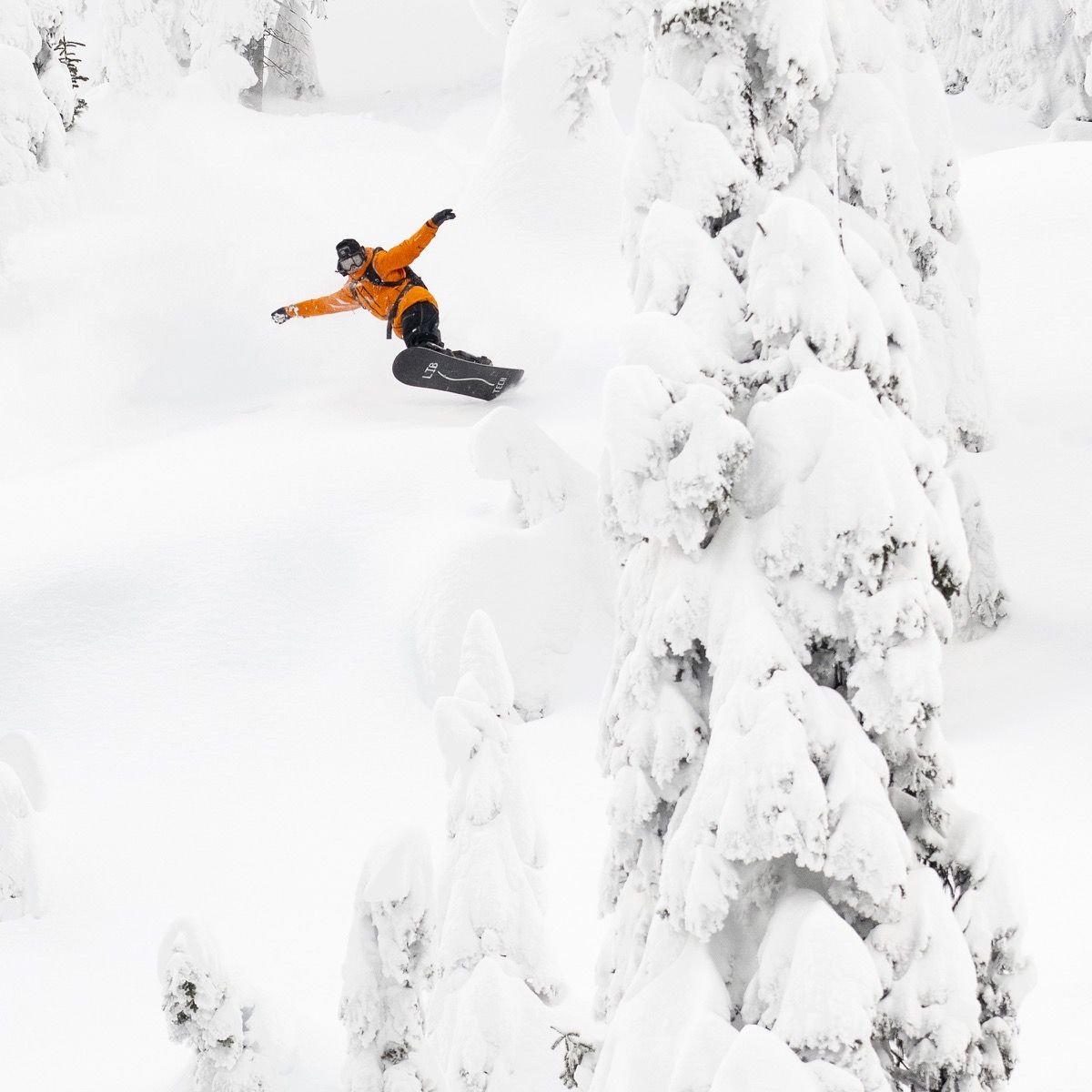 Lib Tech Men's Lib Rig Snowboard 2026