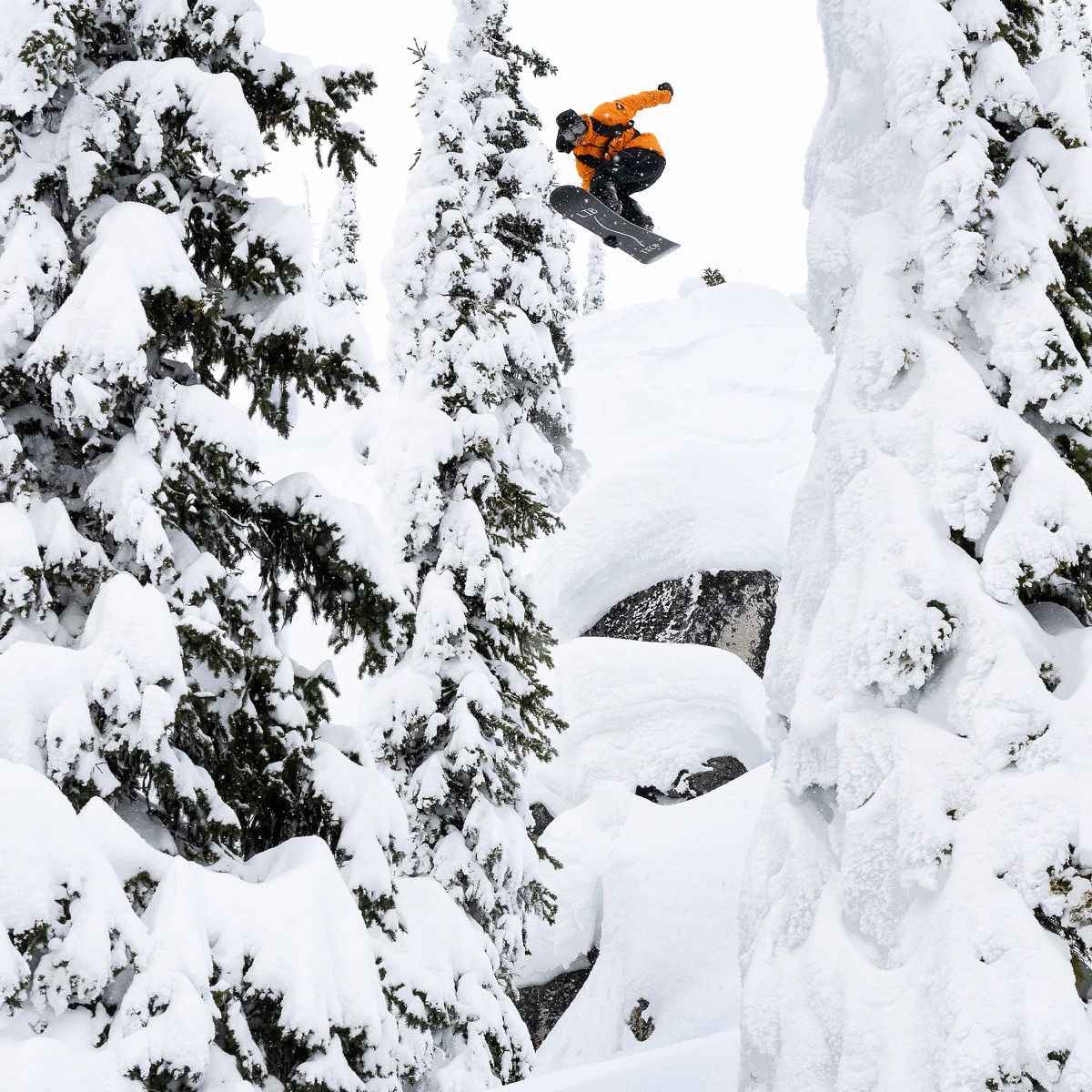 Lib Tech Men's Lib Rig Snowboard 2026