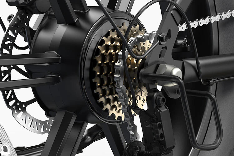 Daily Electric Bike Rental