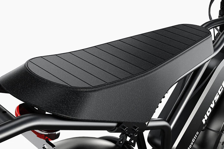 Daily Electric Bike Rental