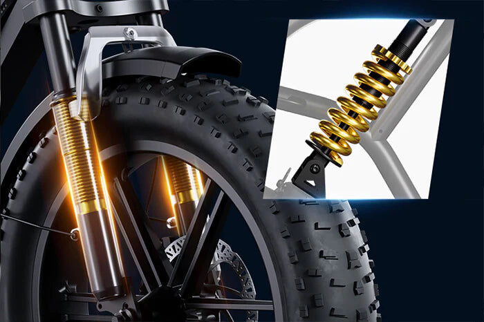 Daily Electric Bike Rental