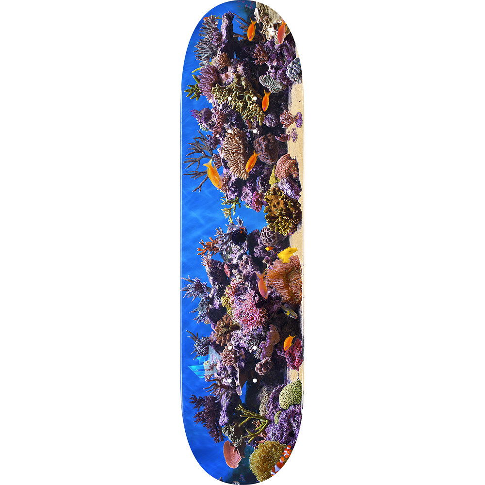 Mini Logo Fish Tank Skateboard Deck 2022