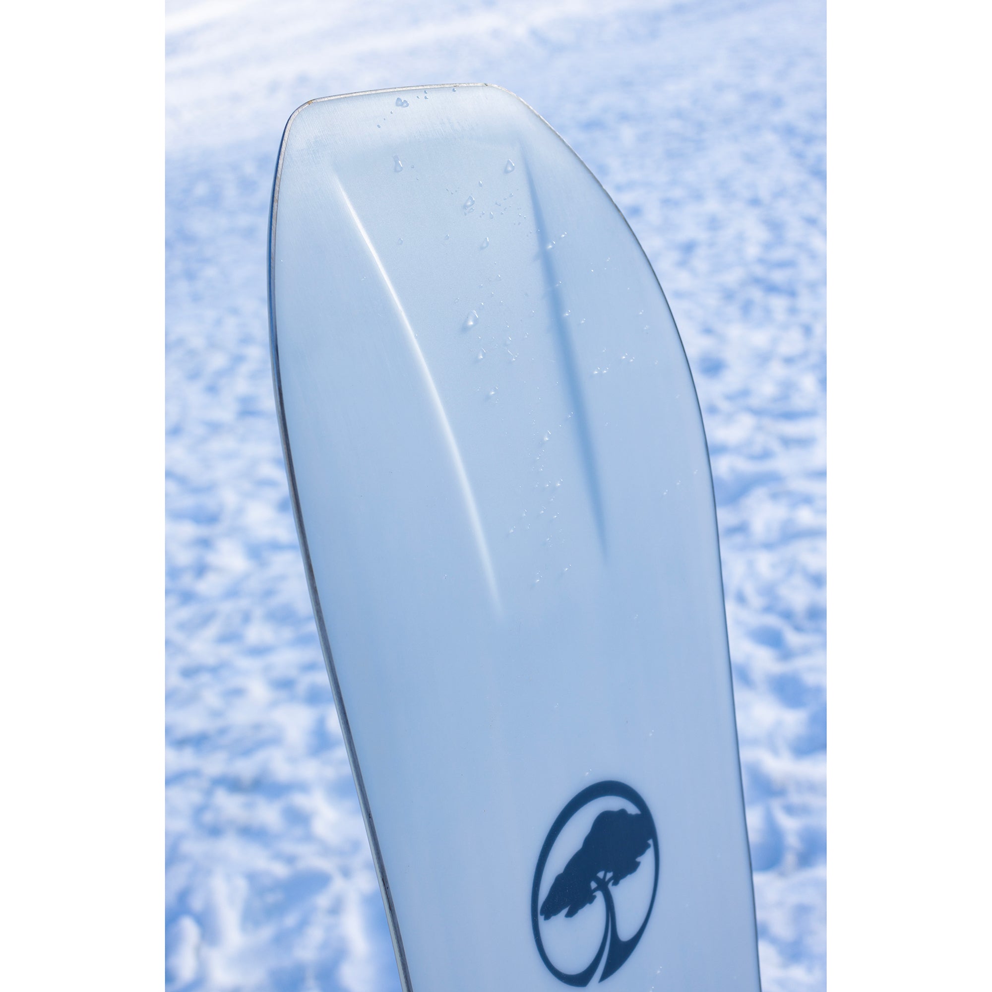 Arbor Men's Terra Twin Camber Snowboard 2024
