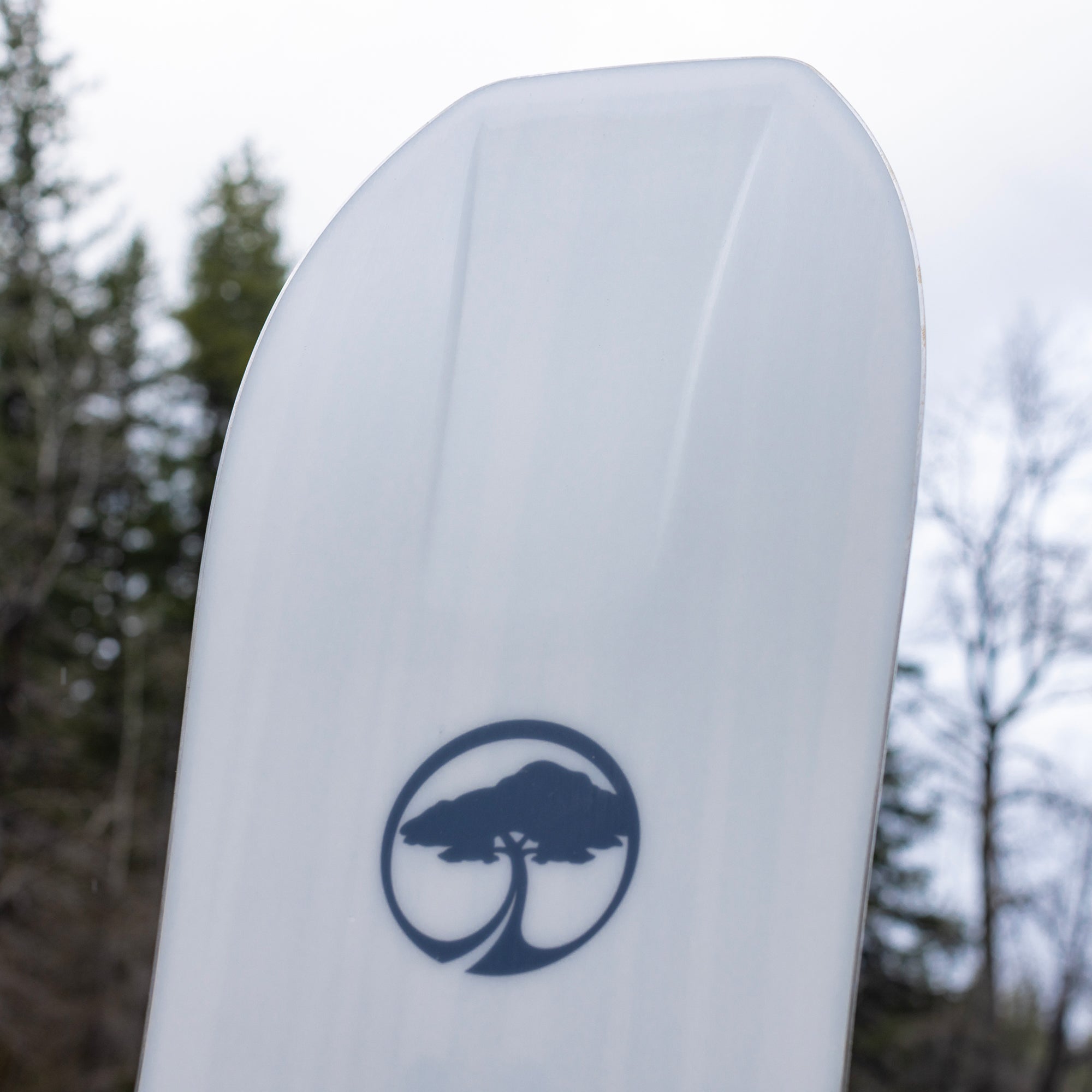 Arbor Men's Terra Pin Rocker Snowboard 2024