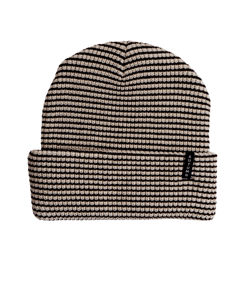Autumn Stripe Snowboard Beanie (Shell)