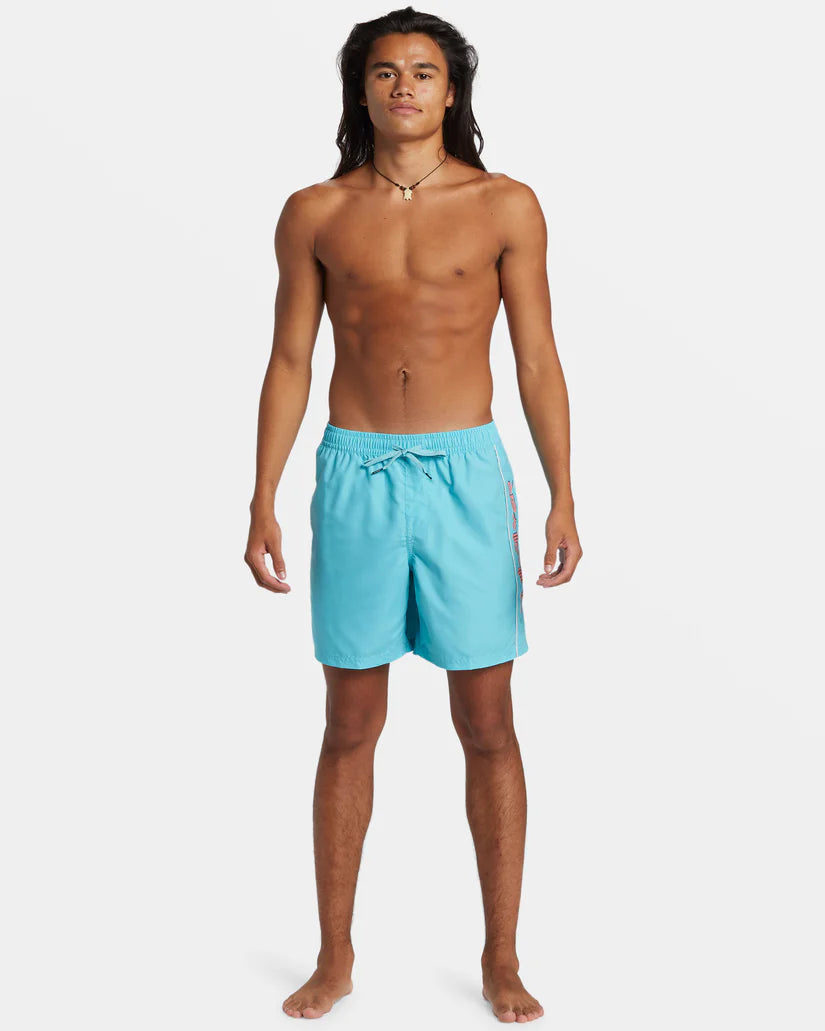 QuikSilver Men's Vert Volley 2 17NB Boardshorts