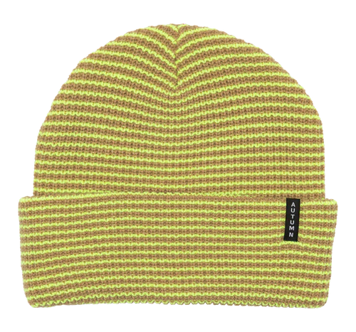 Autumn STRIPE BEANIE
