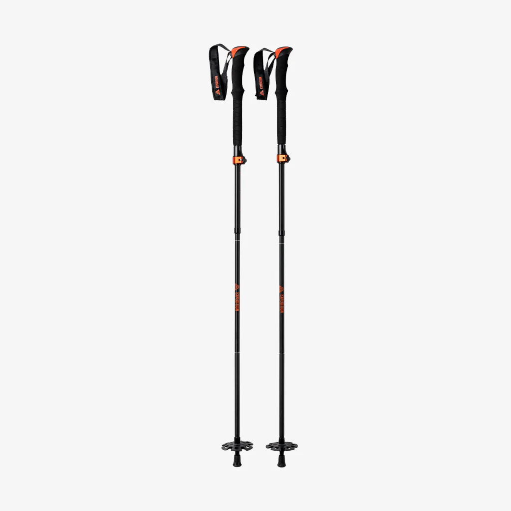 Union Aluminum Touring Pole