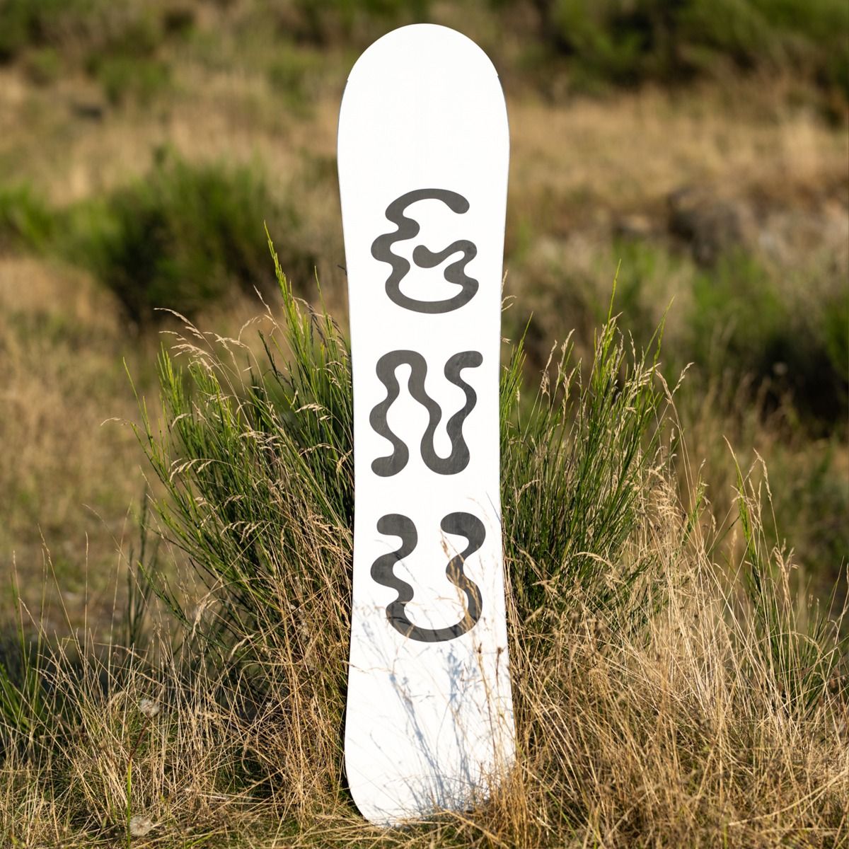 Gnu Women's Free Spirit Snowboard 2026